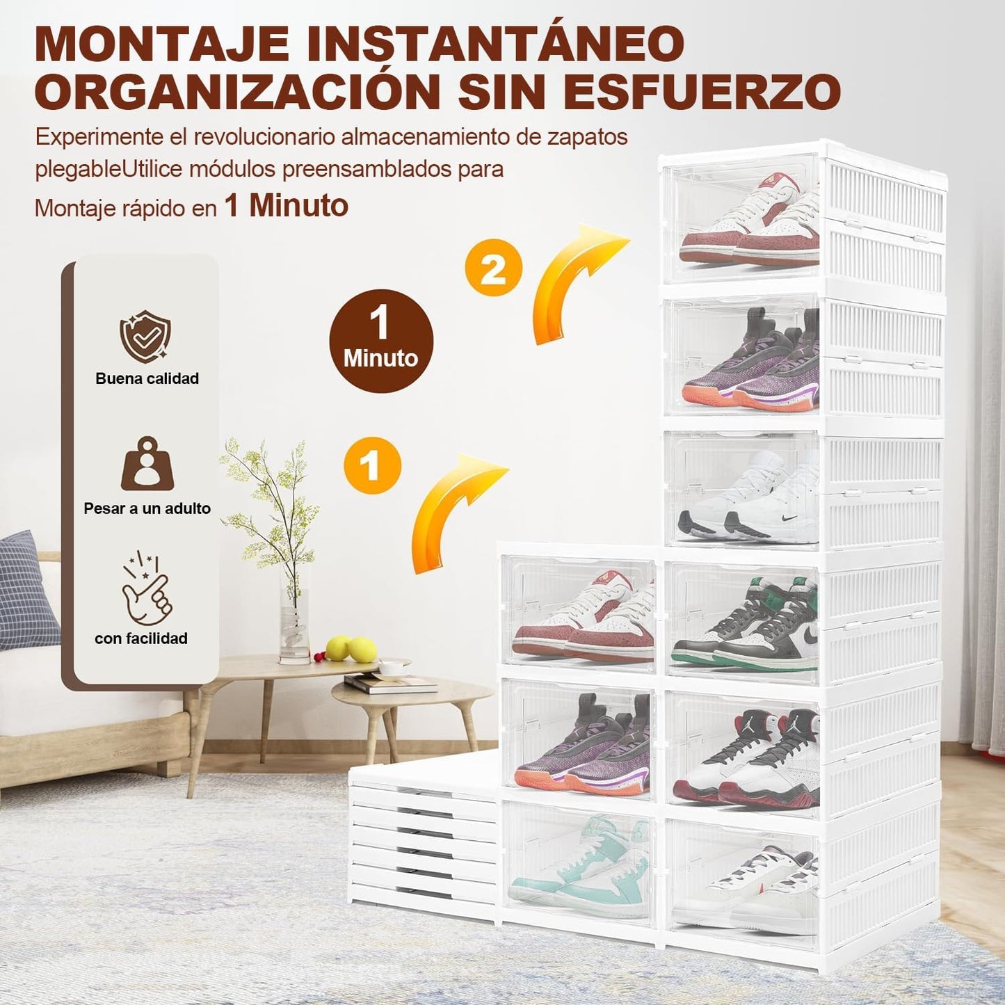 ZapBox Pro®